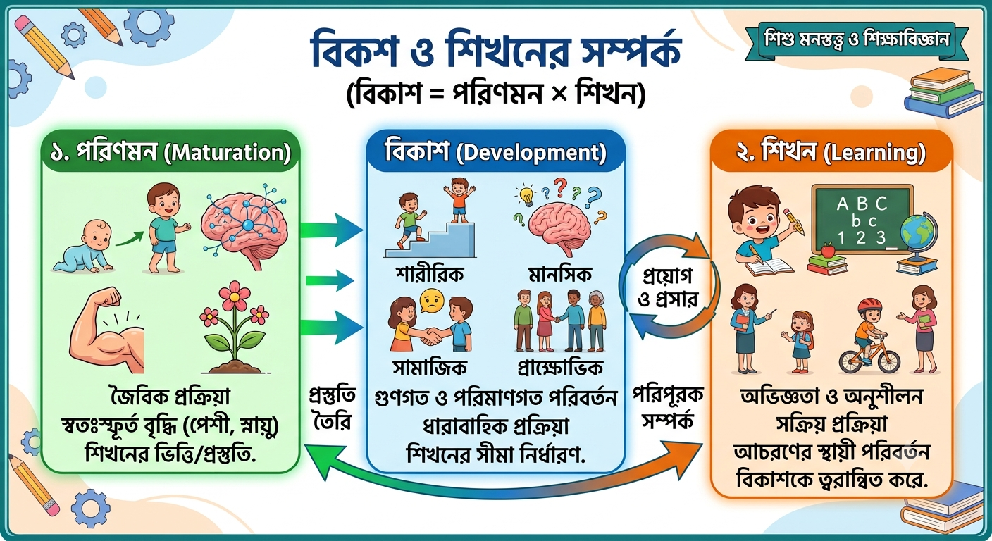 বিকাশের সাথে শিখনের সম্পর্ক (Relationship of Development with Learning) — Primary TET ও CTET বাংলা নোট | TET Sampan